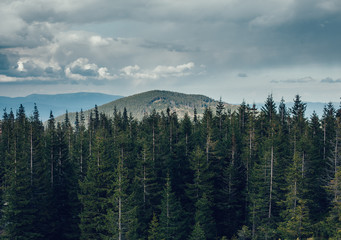 landscape in mountains Carpathians Ukraine