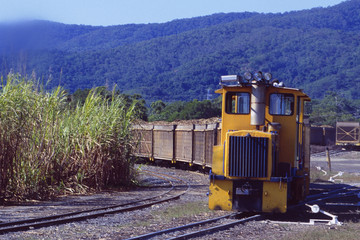 Australien: Der Sugar Cane Train nördlich von Cairns