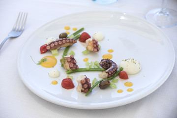 lunch, tentacle, dish, fish, food, greek, grilled