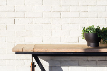Abstract Plant and Table on Brick Wall