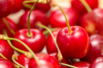 viele frische Kirschen