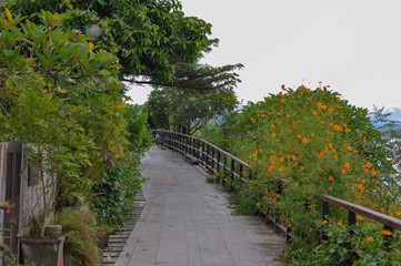 Wooden walkway with flower