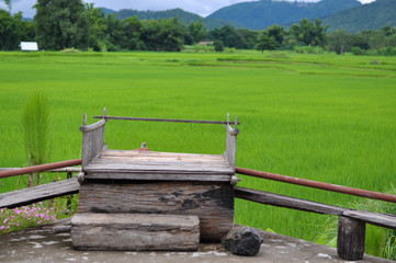 Long wooden bench with green rice field background