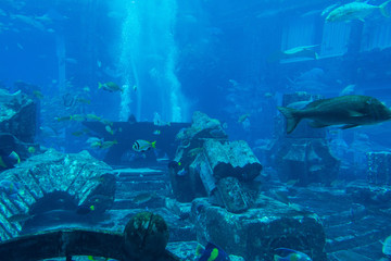 Lost chambers aquarium inside Atlantis hotel on Palm Jumeirah, Dubai, UAE United Arab Emirates