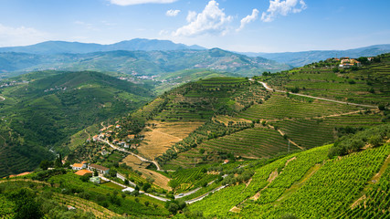Top view of Douro Valley, the vineyards are on a hills, Portugal.
