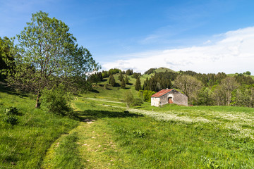 Ferme du Haut Jura, randonnée au crêt de Chalam - La Pesse, Haut Jura, France - 158914601
