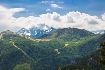Alpine landscape 