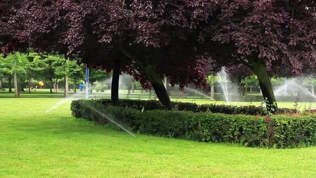  Riego por Aspersion en Parque Publico