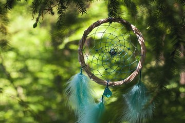 Dreamcatcher in the forest