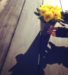 Female hands holding a pot of flowers