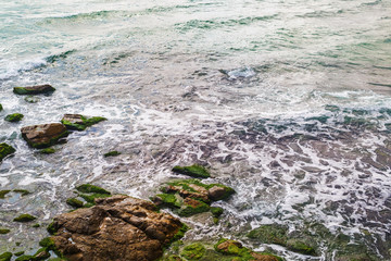 Sea surf and rocks covered with algae. Closeup of coastline.