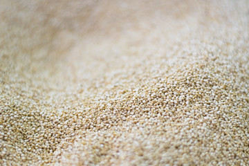 Quinoa seeds in a market. Chenopodium quinoa.