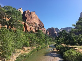 River in Zion National Park
