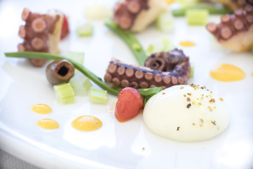 lunch, tentacle, dish, fish, food, greek, grilled