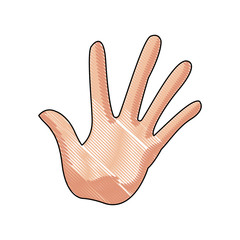 hand man palm showing five finger gesture image vector illustration