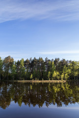 Fototapeta na wymiar Quiet and calm lake and reflection of a forest in Finland in the summertime. Copy space.