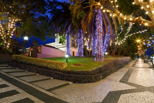 Palm Trees In Christmas Decoration In Funchal, Madeira