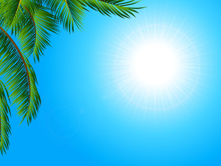 Fototapeta na wymiar Tropical landscape background with palm tree