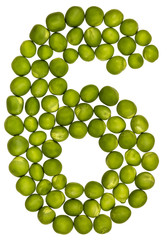 Arabic numeral 6, six, from green peas, isolated on white background