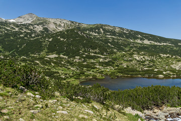 Fototapeta na wymiar Landscape with Fish lakes near Sivrya peak, Pirin Mountain, Bulgaria