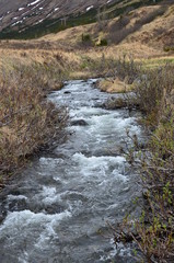 Water Runs Through It