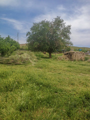 Kurdistan nature landscape view