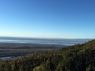 View from Up High