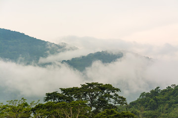 the landscape of  Mountain and mist