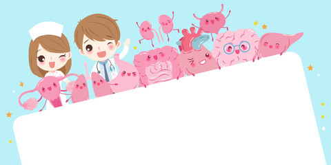 cute cartoon doctor with organ