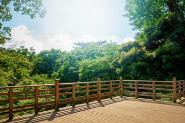 Fototapeta na wymiar 森の中の日本的なバルコニー