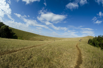 At the top of the hill there is a small passageway amidst yellow grass.