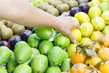 frutas e leumes