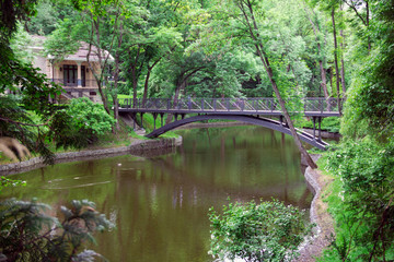 Fototapeta na wymiar Metal bridge over a lake in a green garden