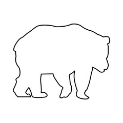 bear animal forest wild life image vector illustration