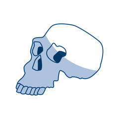 skull human structure anatomy bone icon vector illustration