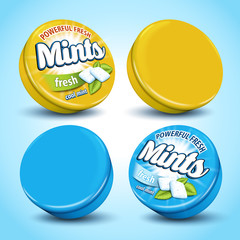mint flavor chewing gum
