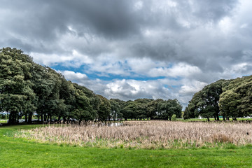 Phoenix Park