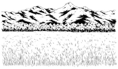 漫画風ペン画イラスト　草原