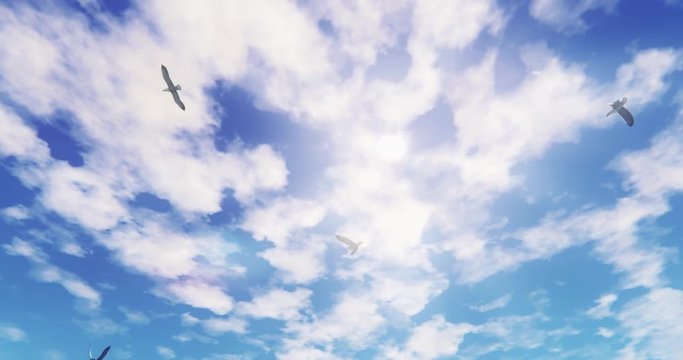 4k Seagulls Flying Over Sunlight,sun rays & cloud,Paradise scene.