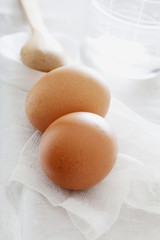 Illustration of organic natural cosmetics Eggs enter in the composition of natural recipes such as masks (face, hair)
