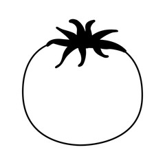 tomato fresh isolated icon vector illustration design