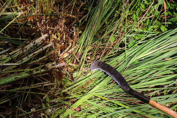 Big knife to cut the grass in the garden. 