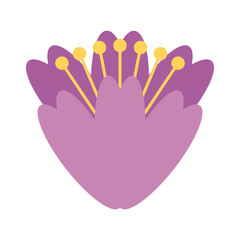 cute flower isolated icon vector illustration design