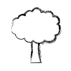 tree icon over white background vector illustration