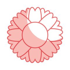 cute flower isolated icon vector illustration design