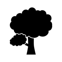 tree icon over white background vector illustration