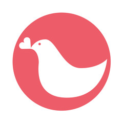 dove with heart love card vector illustration design