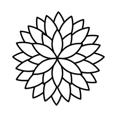 cute flower isolated icon vector illustration design