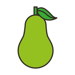 pear fresh fruit isolated icon vector illustration design