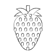 strawberry fresh fruit isolated icon vector illustration design